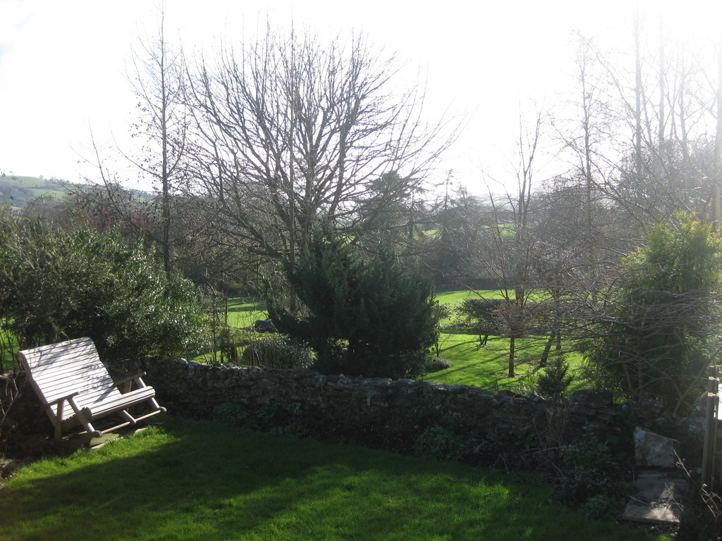 edge of garden in winter