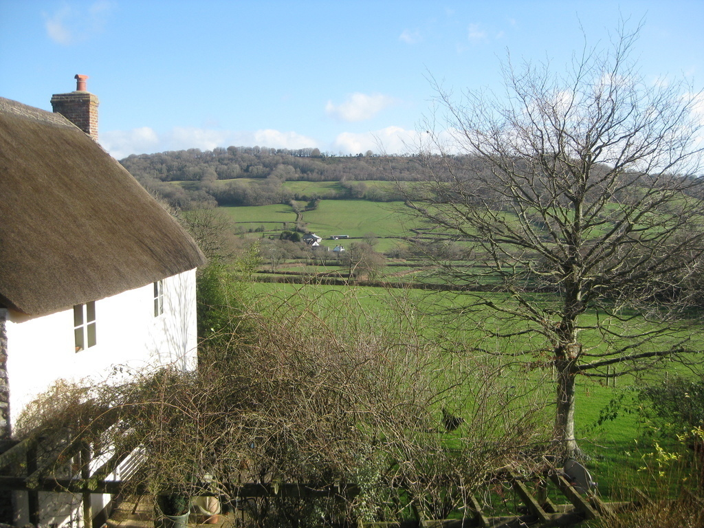 The thatched house next door and the view over the Blackdown hills.