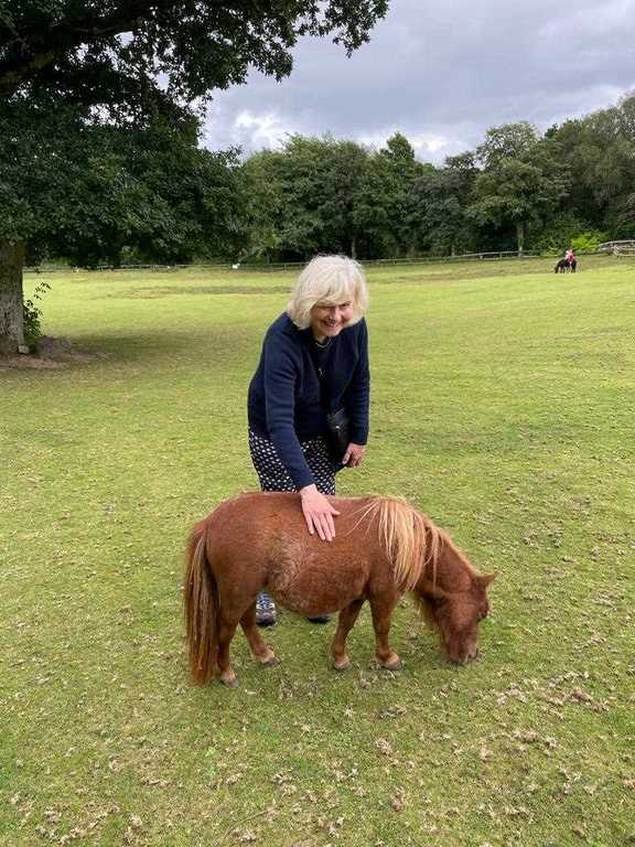 Miniature pony centre, near Moretonhampstead on Dartmoor.  Either very small pony or Anne is bigger than you thought? 