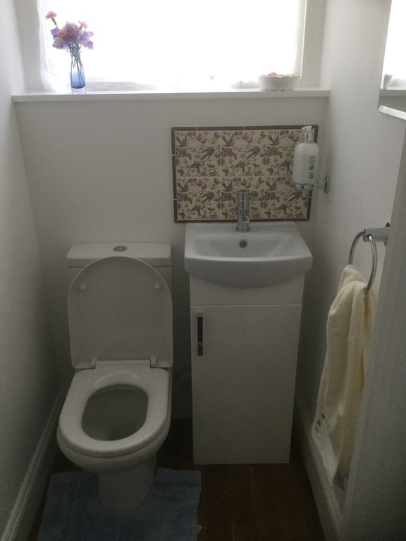 New downstairs loo