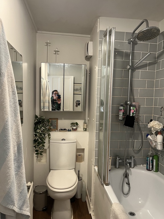 downstairs toilet and bathroom