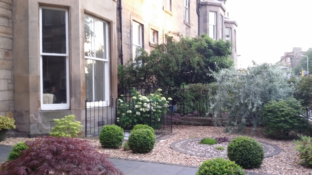 Garden from the bench