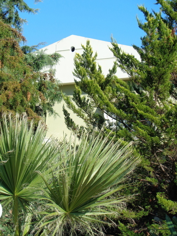 just the top of the house ...is  our house behind the trees!!!