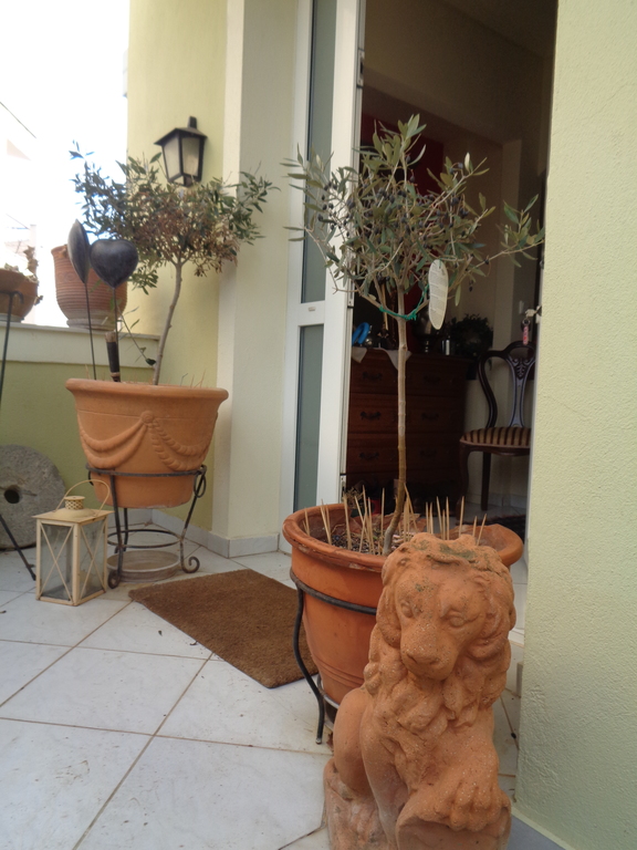 MAIN ENTRANCE TO THE HOUSE