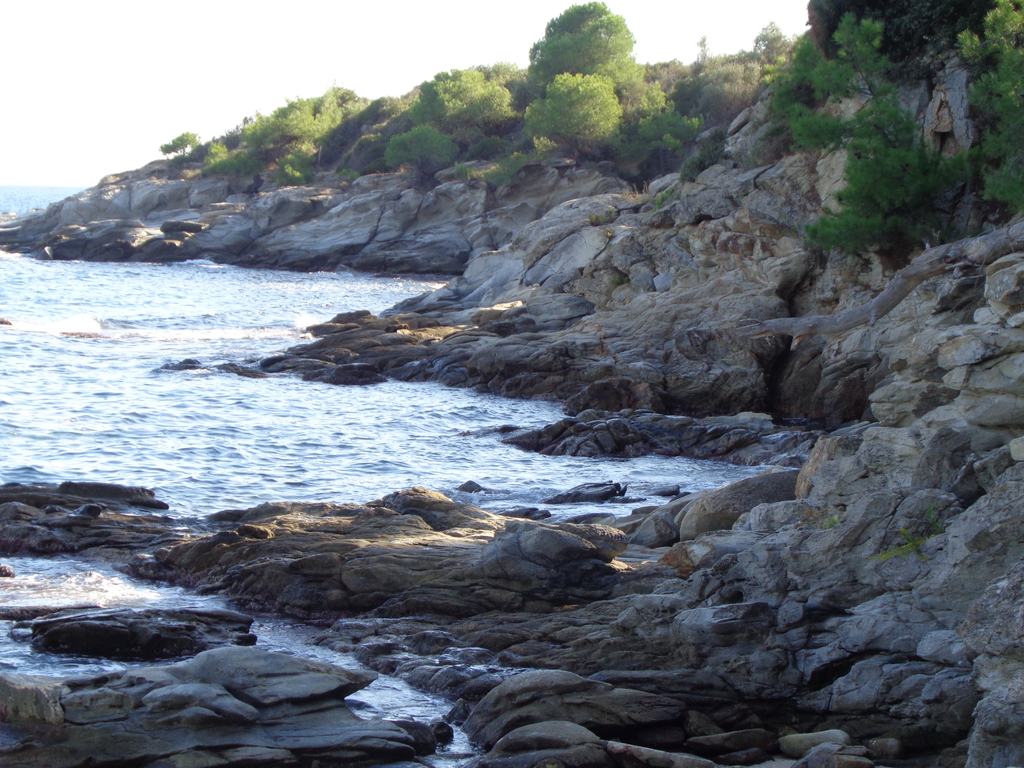 ASIDE THE COVE A  VERY PICTURESQUE COAST..IF YOU KNOW  FISHING AND SUCH,HERE IS A PARADISE