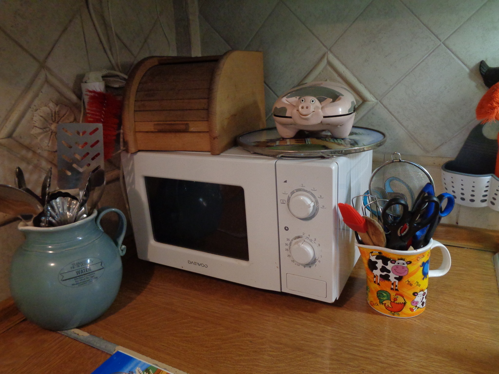 microwave cooker-warmer