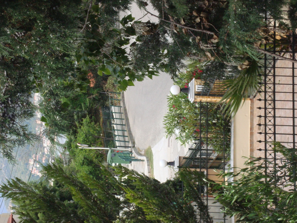 a glimpse  through trees  of  the  street and  neighbouring    gardens