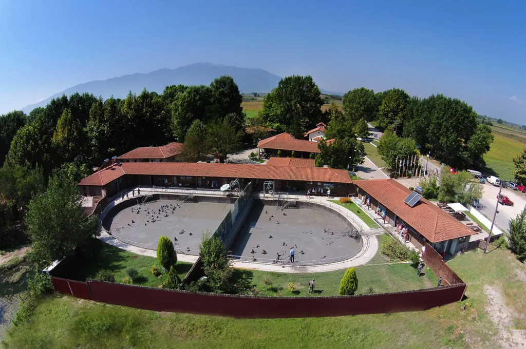 next to ancient philippi the mud baths  area