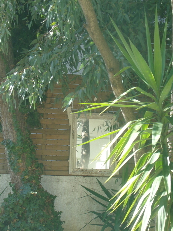 an aspect of the wooden fence-backyard
