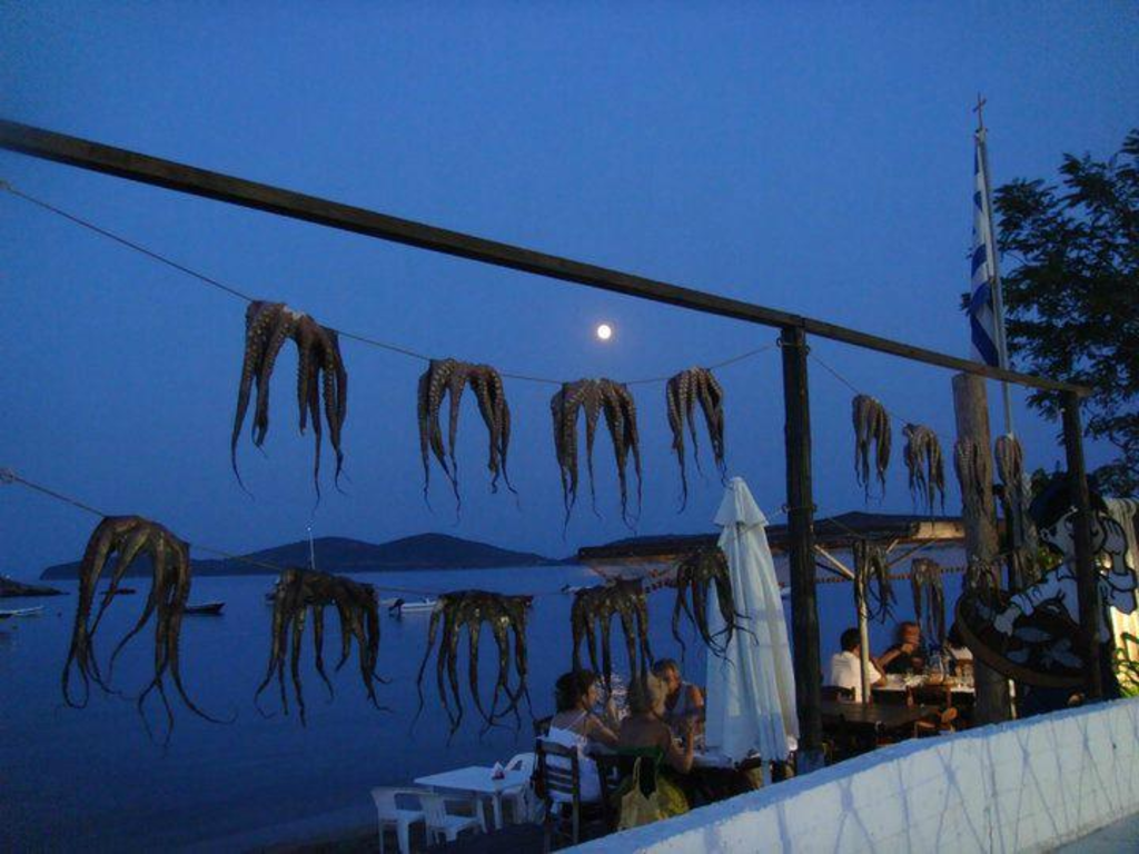 OCTAPUSES DRYING AT THE TAVERNA BY THE SEA AT    N.PERAMOS   village