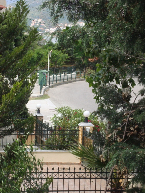a glimpse  through trees  of  the  street and  neighbouring    gardens
