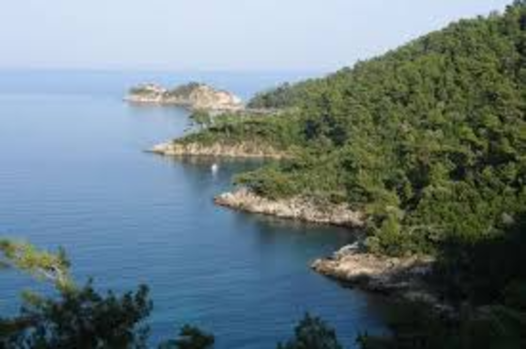 another bird view of   thassos   map  relief