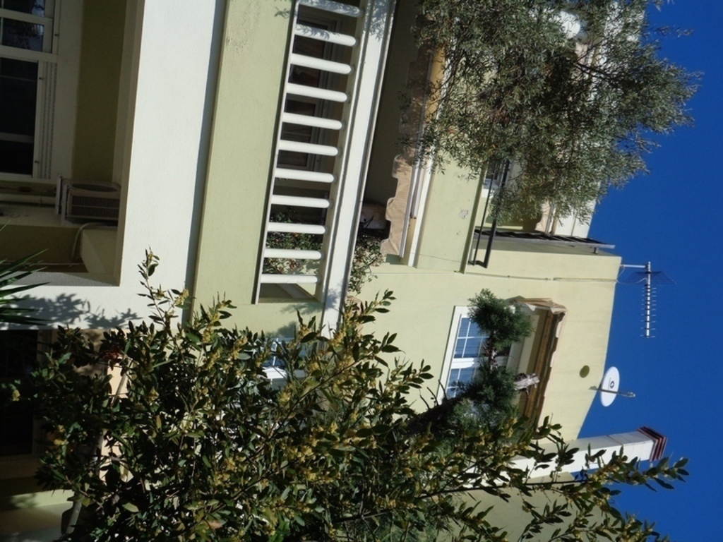 BACK SIDE OF THE HOUSE