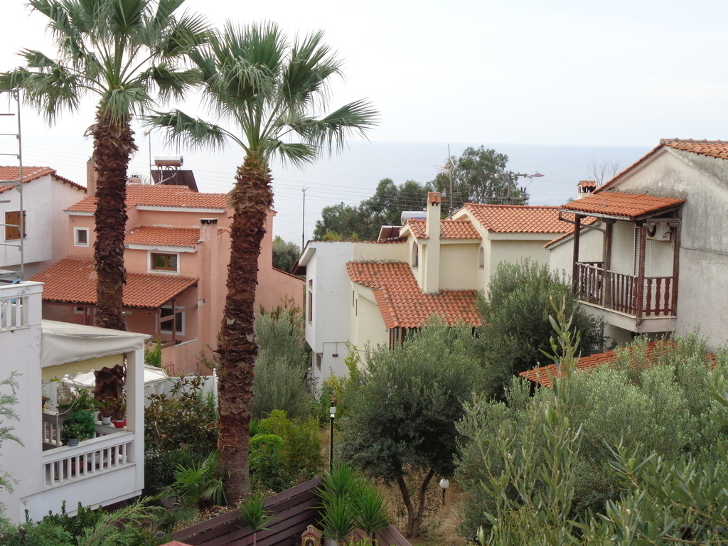 NEIGHBOURS CURED THEIR TREES...SO WE CAN SEE ALL THE SEA IN THE BACKGROUND