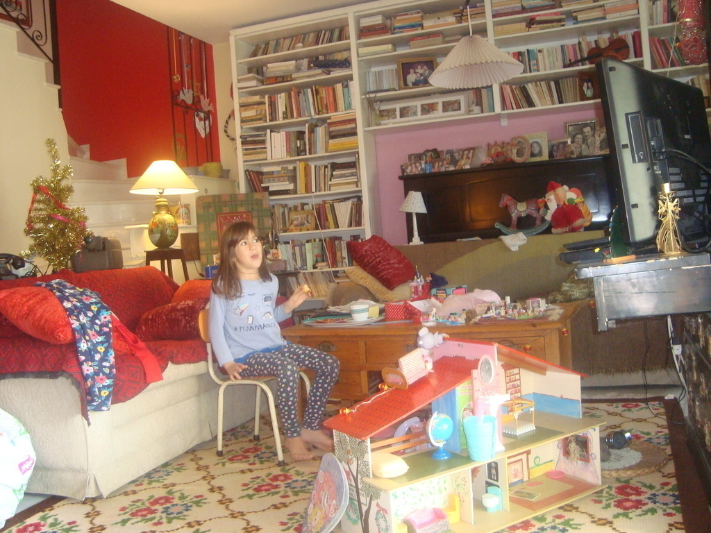 ground  floor's  library-TV-double bedsofa