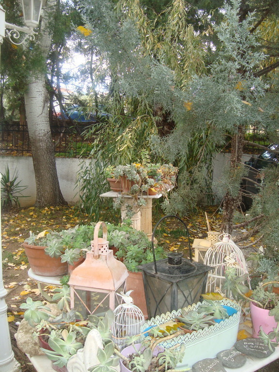 pots at parking-garden entrance