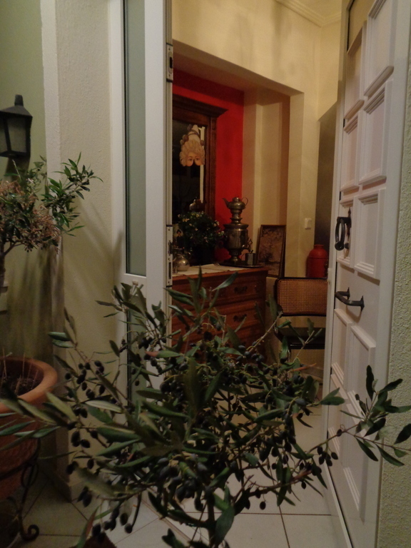 decorative olive trees and  main entrance 