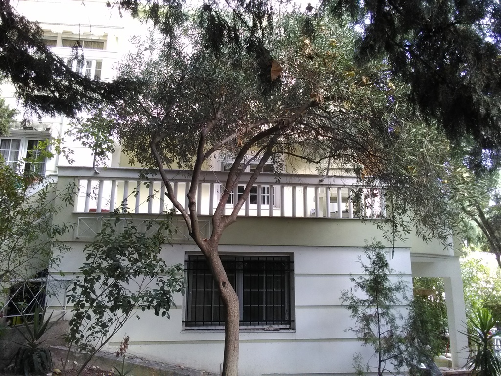 west side  of   house..ground floor and middle floor's  terrace