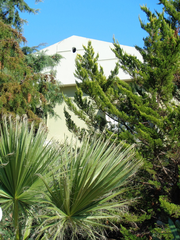 just the top of the house ...is  our house behind the trees!!!