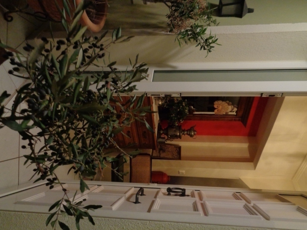 decorative olive trees and  main entrance 