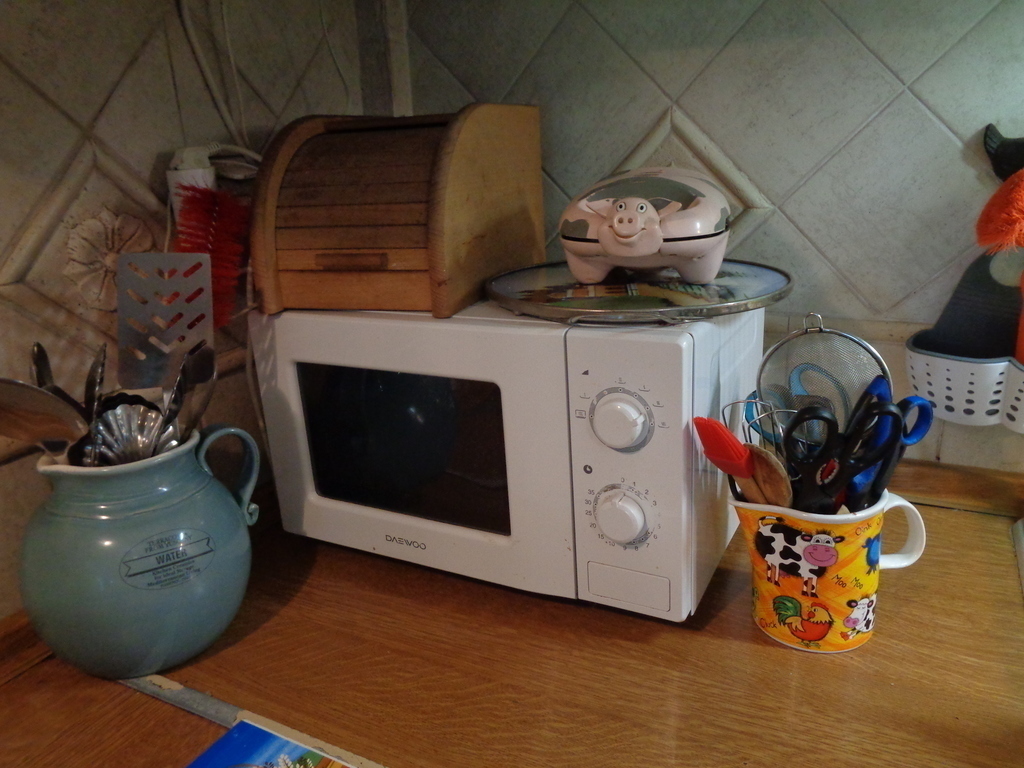 microwave cooker-warmer