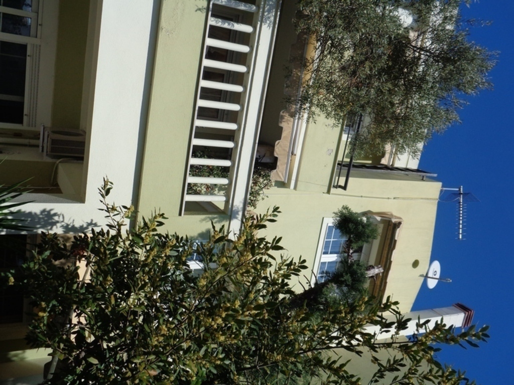 BACK SIDE OF THE HOUSE