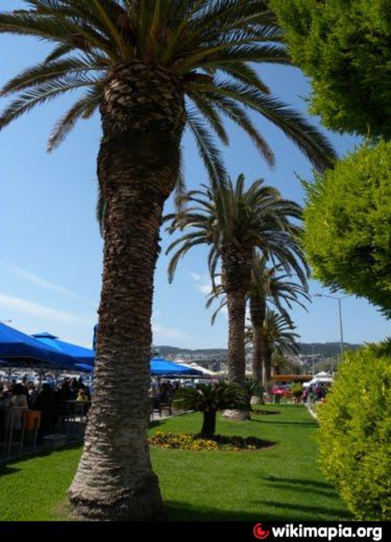 downtown's sea-side and palm trees and many ,many coffee shops by the sea,  under tents