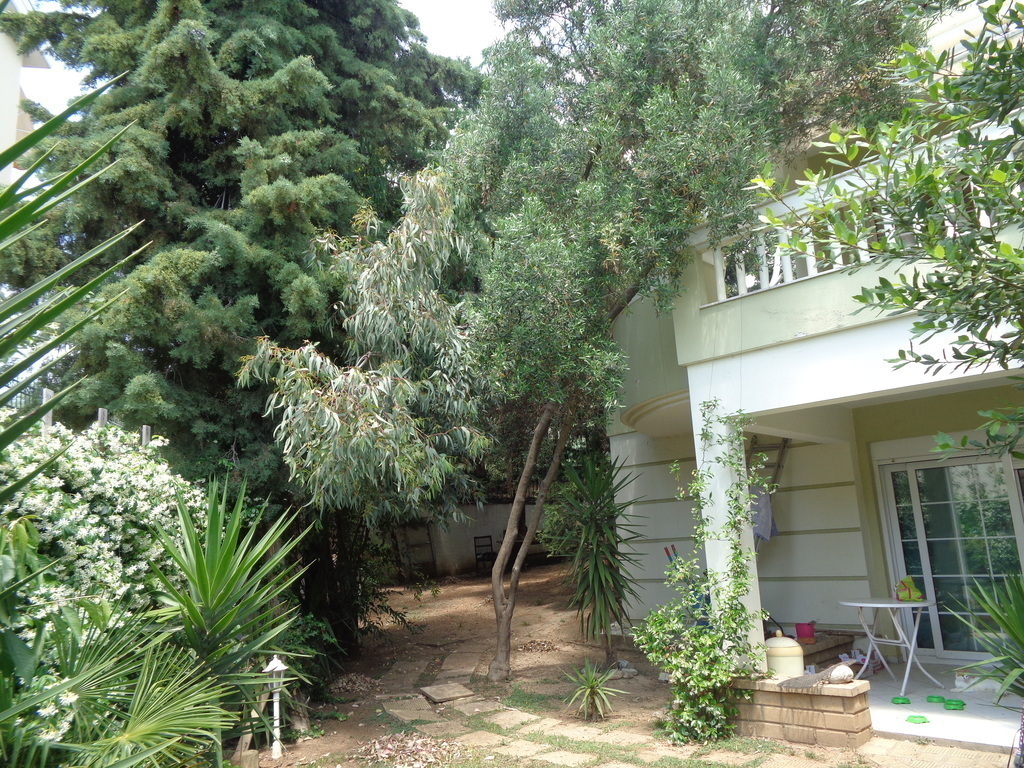 BACK YARD DURING  MAY