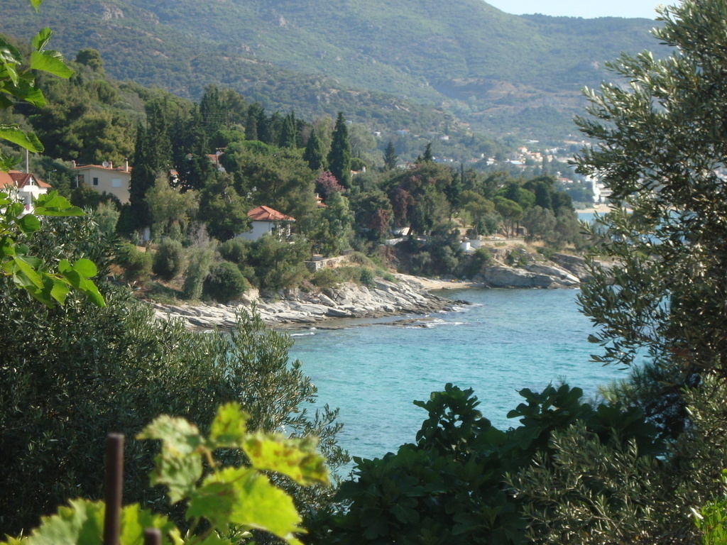 YOU  CAN  SWIM   HERE THE  OTHER  END  OF   OURS  IN  PALIO   BAY