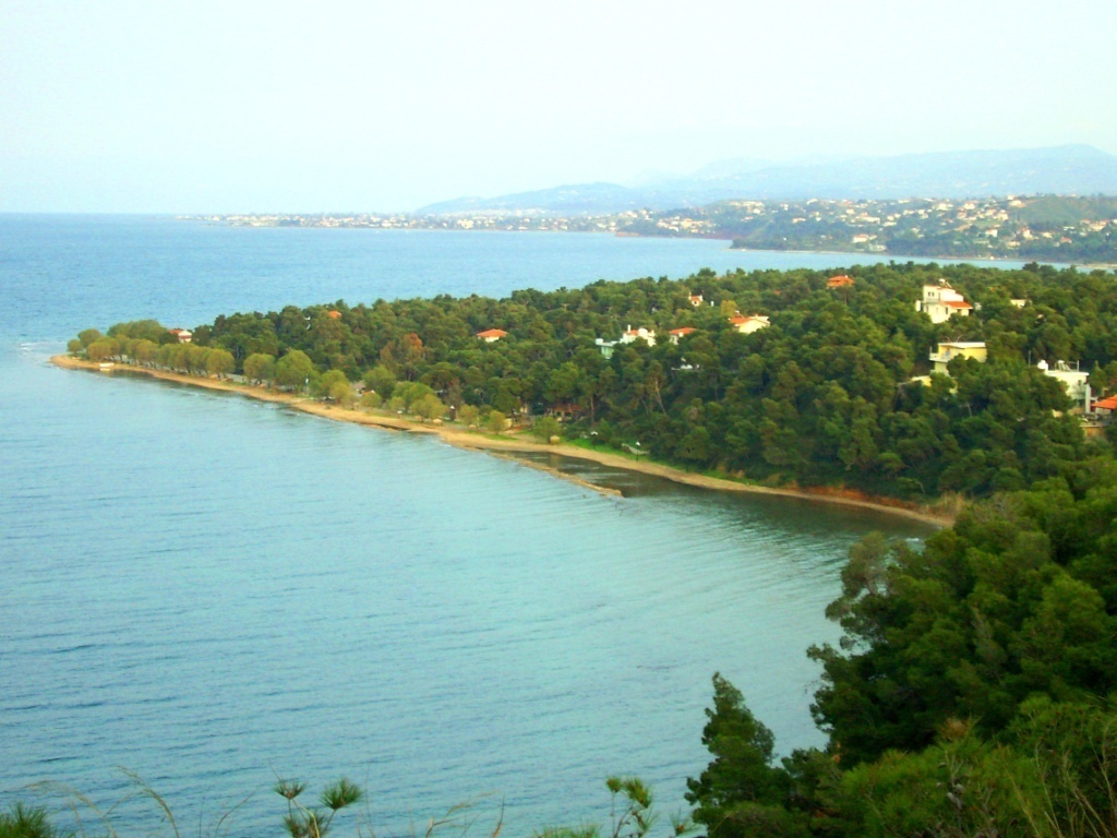 Our area  (another beach )