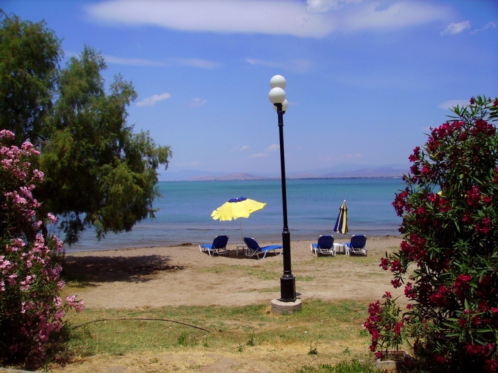 the beach in front of the house