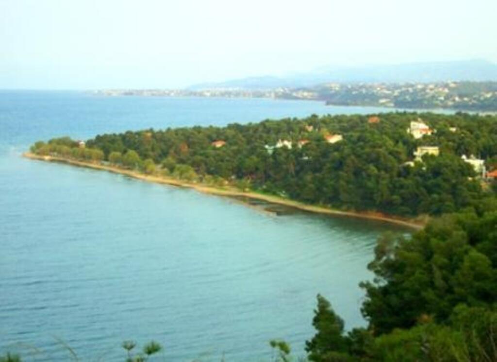 Dilesi beach