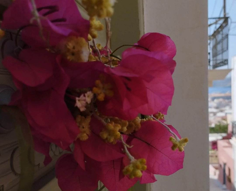 Η εξώπορτα του διαμερίσματος και στο βάθος η θέα προς το λιμάνι.