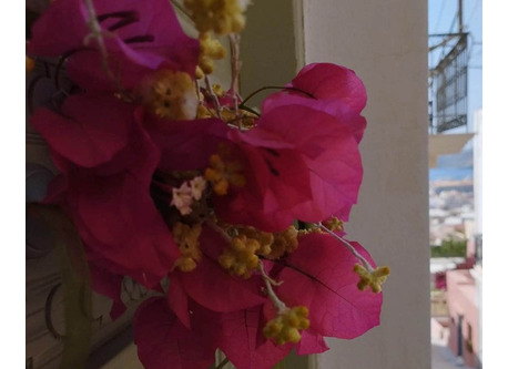 Η εξώπορτα του διαμερίσματος και στο βάθος η θέα προς το λιμάνι.