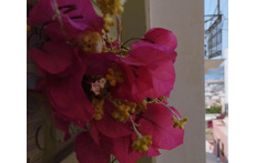 Η εξώπορτα του διαμερίσματος και στο βάθος η θέα προς το λιμάνι.