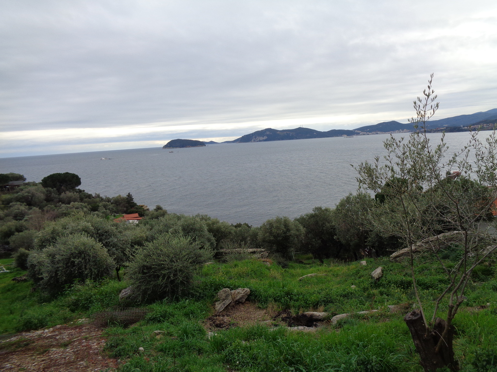 larger golf  in our area