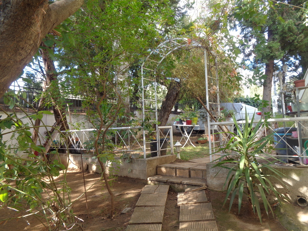 garden=just trees [front part]