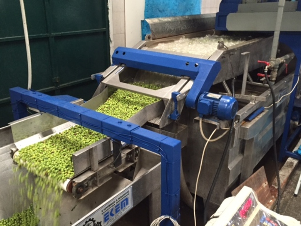 olives taking a bath