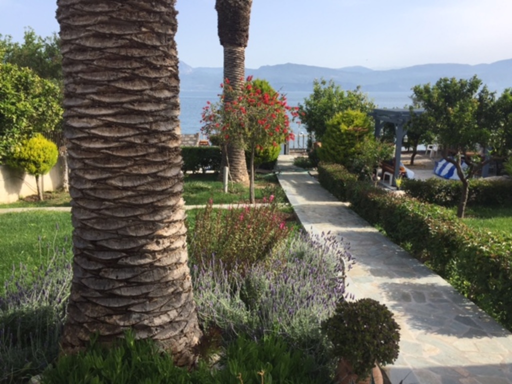 Garden path to beach