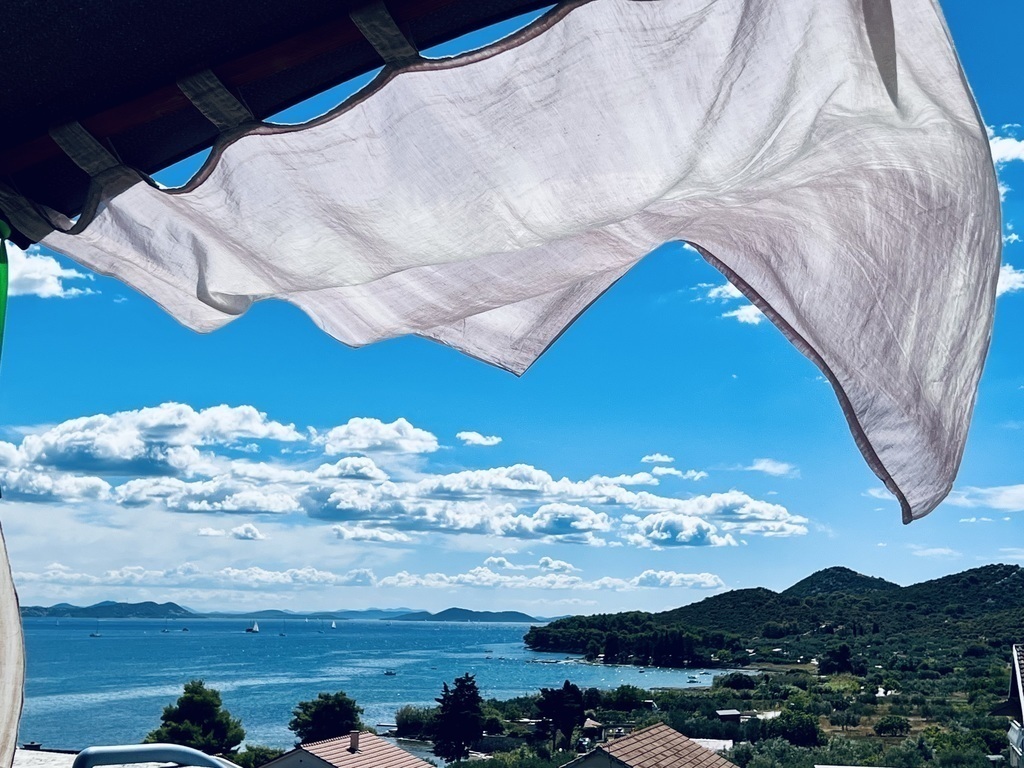 view from the terrace