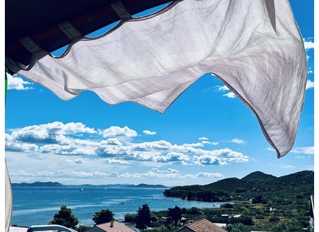 view from the terrace