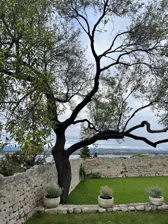 view from the Benedictine monastery 