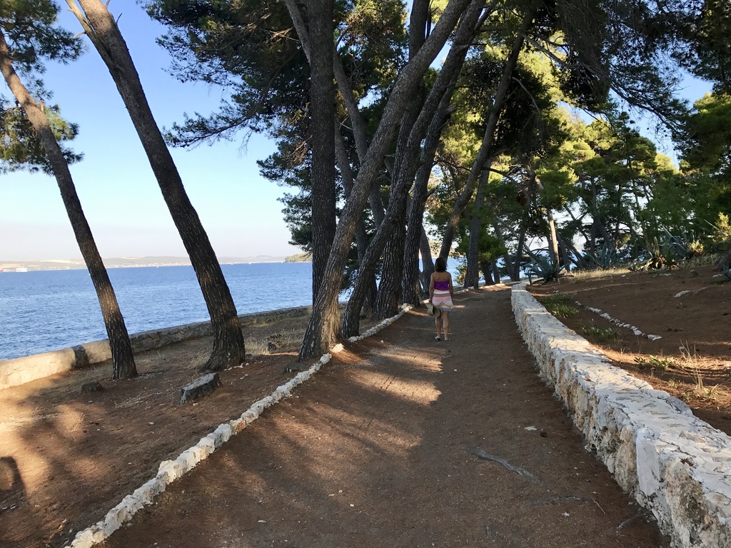 Swim or take a small boat to island Galevac 80 m from Preko 