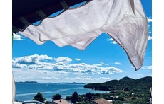 view from the terrace