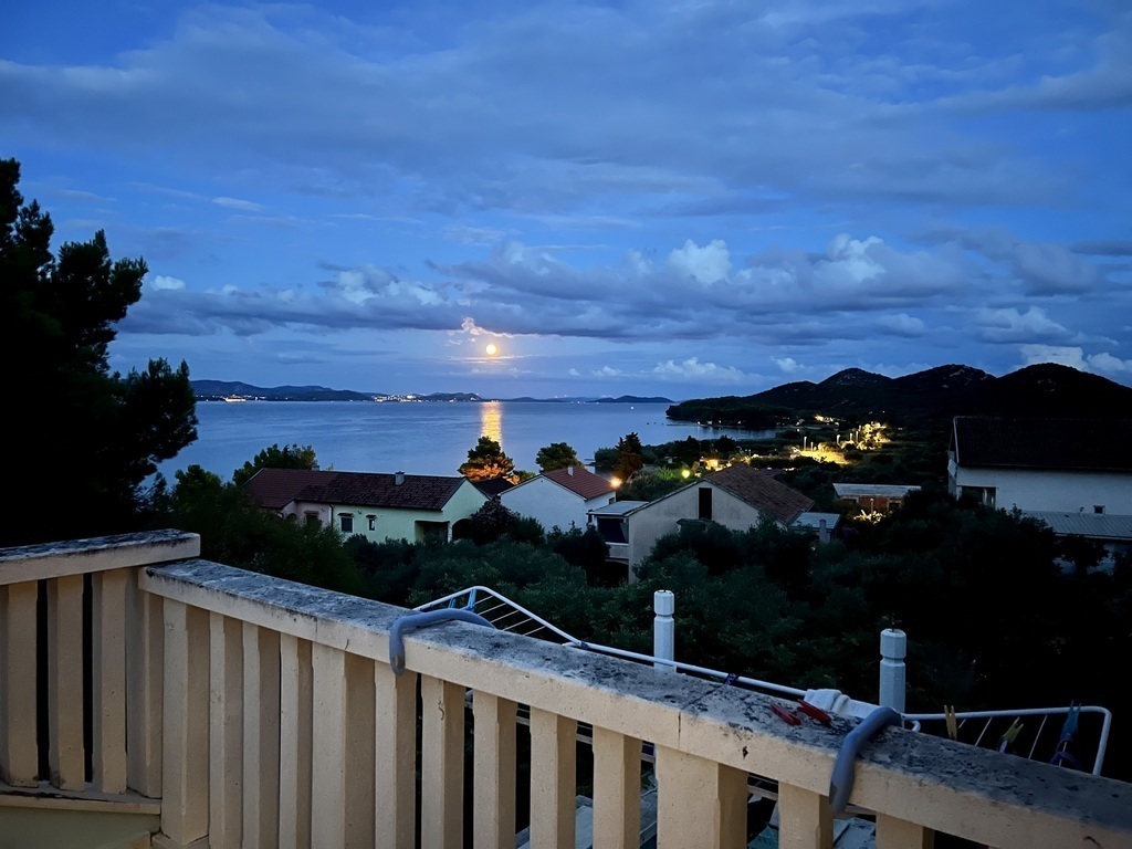 view from the terrace