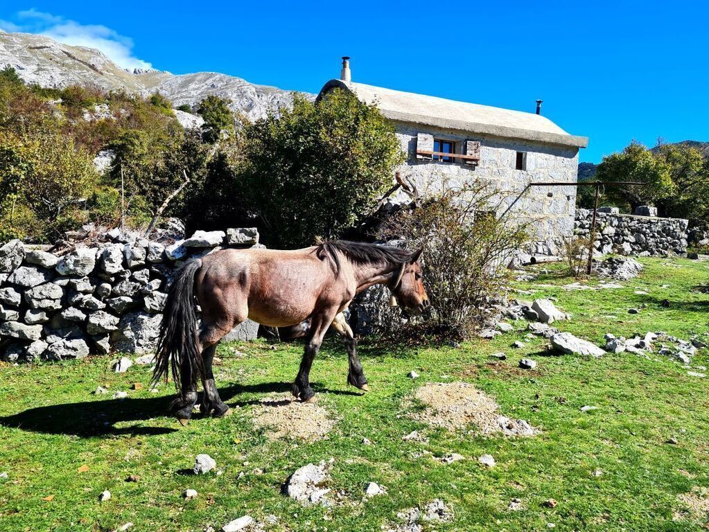 Wandering around Velebit