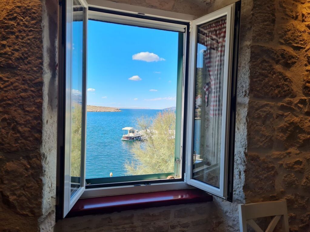 The morning view through the kitchen window