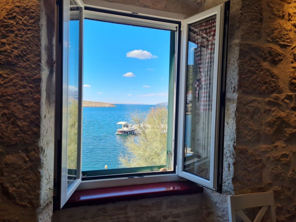 The morning view through the kitchen window