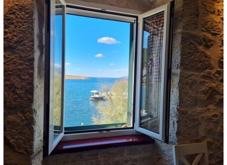 The morning view through the kitchen window