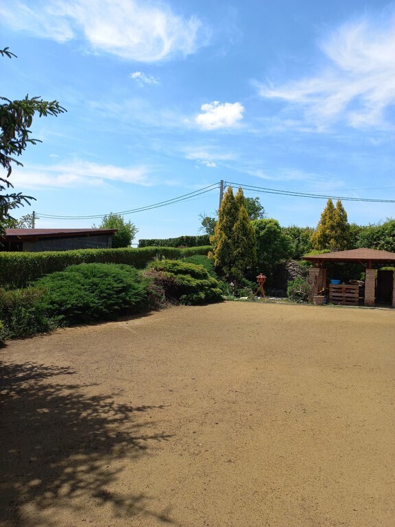 Füvesítés alatt álló kert